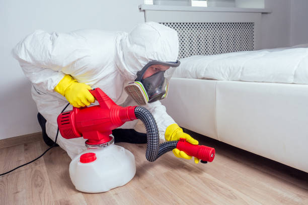 Best Pest Prevention Services  in Manchaca, TX